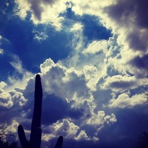 Meet your Posher, Holly